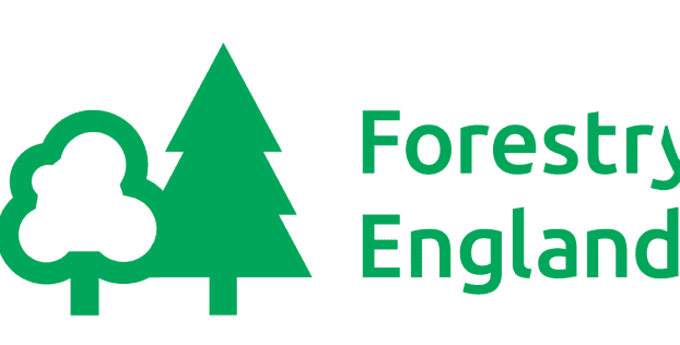 New Client – Forestry England