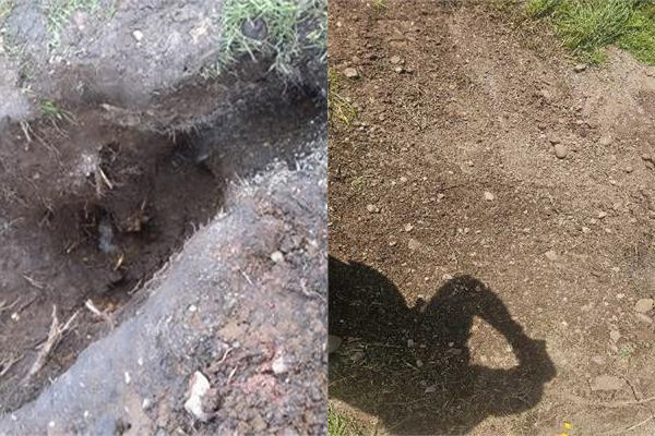 Our Reactive Maintenance Equates to Rapid Maintenance